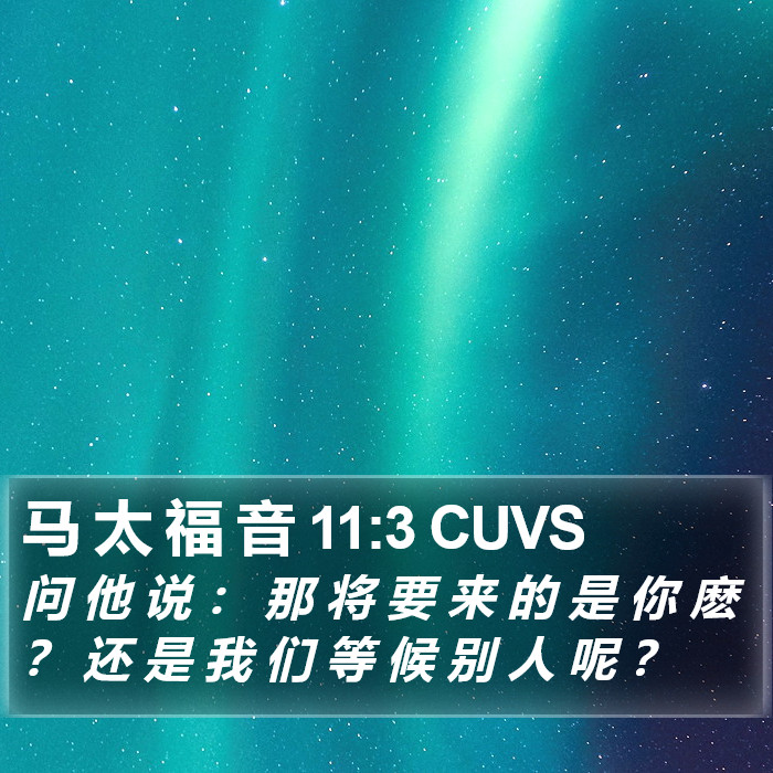 马 太 福 音 11:3 CUVS Bible Study