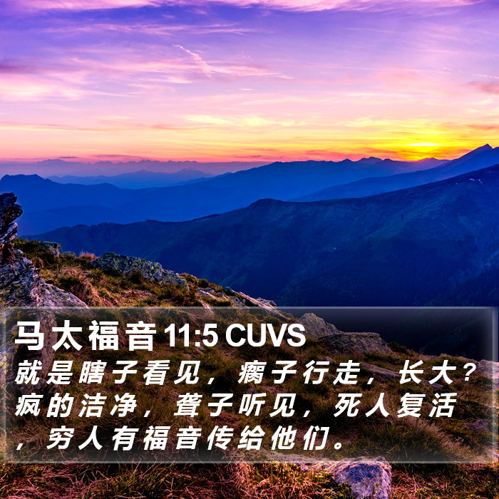 马 太 福 音 11:5 CUVS Bible Study