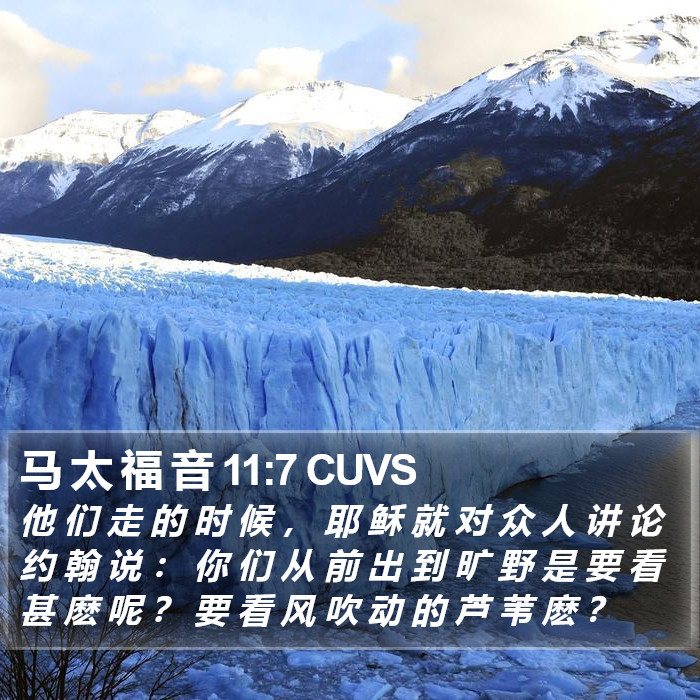 马 太 福 音 11:7 CUVS Bible Study