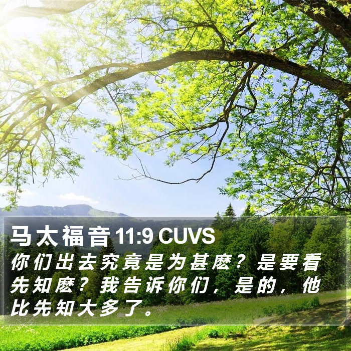 马 太 福 音 11:9 CUVS Bible Study