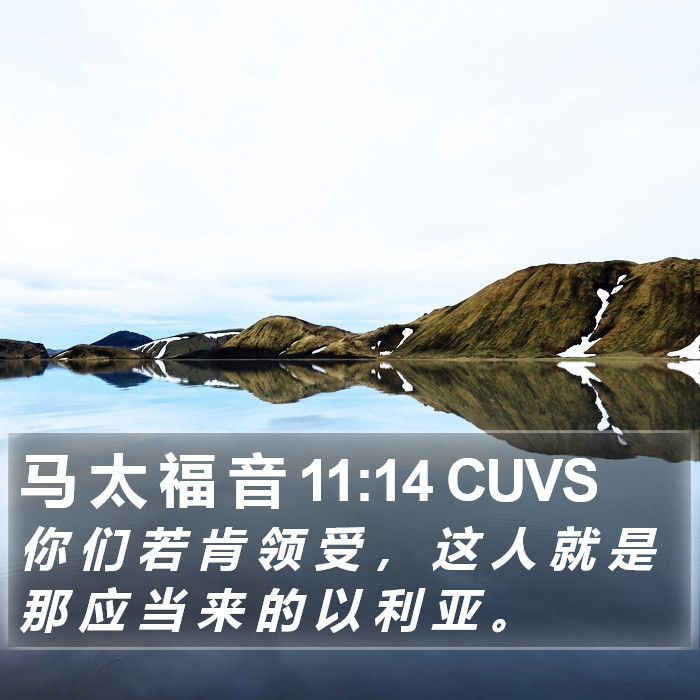 马 太 福 音 11:14 CUVS Bible Study