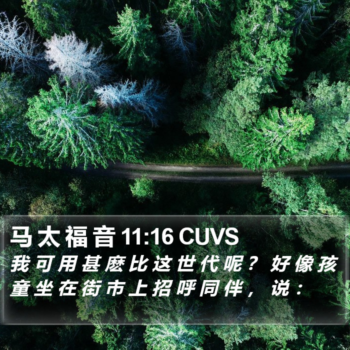 马 太 福 音 11:16 CUVS Bible Study