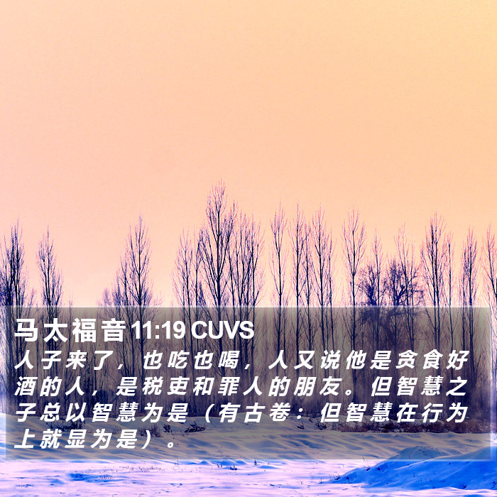 马 太 福 音 11:19 CUVS Bible Study
