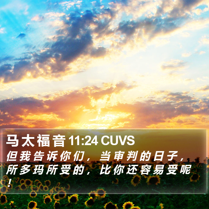 马 太 福 音 11:24 CUVS Bible Study
