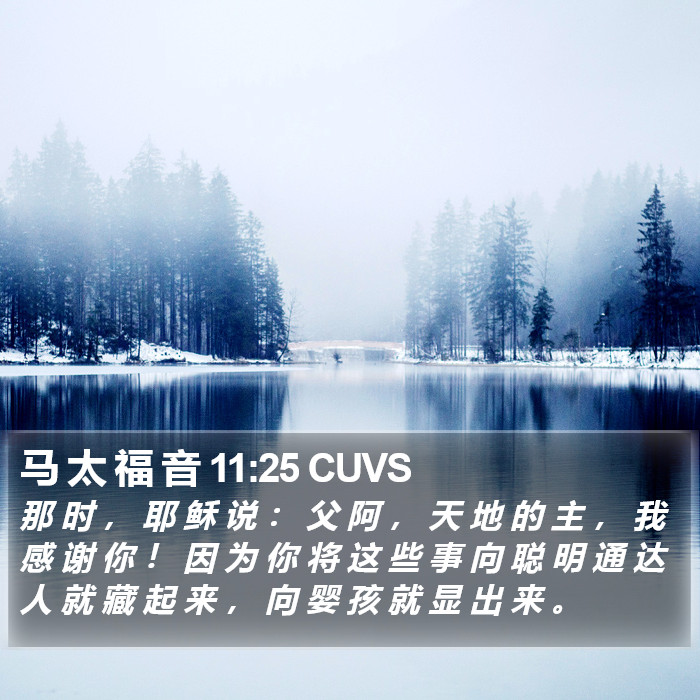 马 太 福 音 11:25 CUVS Bible Study