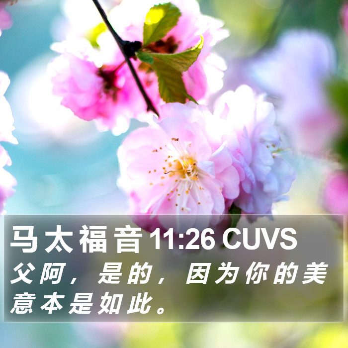 马 太 福 音 11:26 CUVS Bible Study