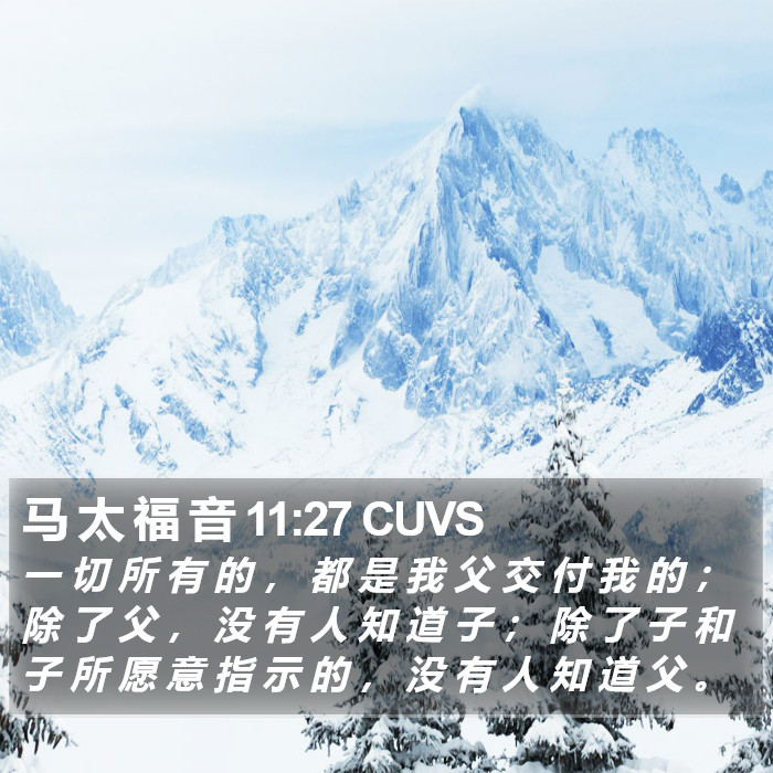 马 太 福 音 11:27 CUVS Bible Study