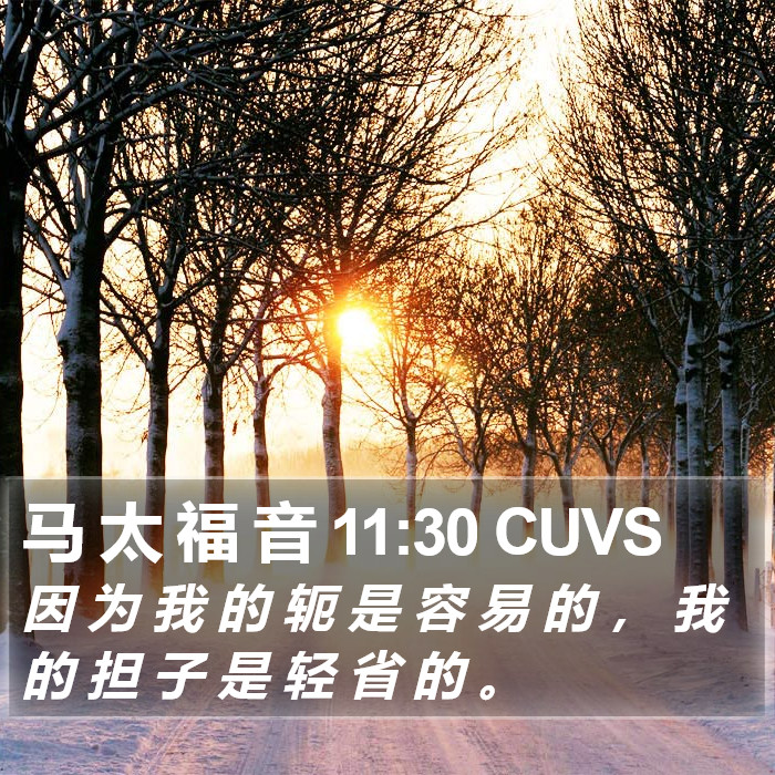 马 太 福 音 11:30 CUVS Bible Study