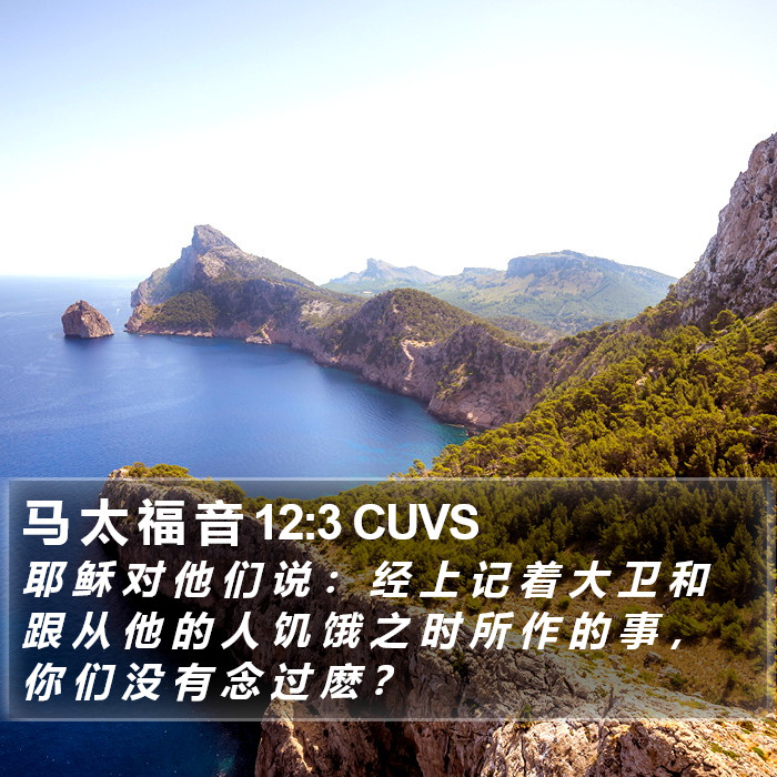 马 太 福 音 12:3 CUVS Bible Study