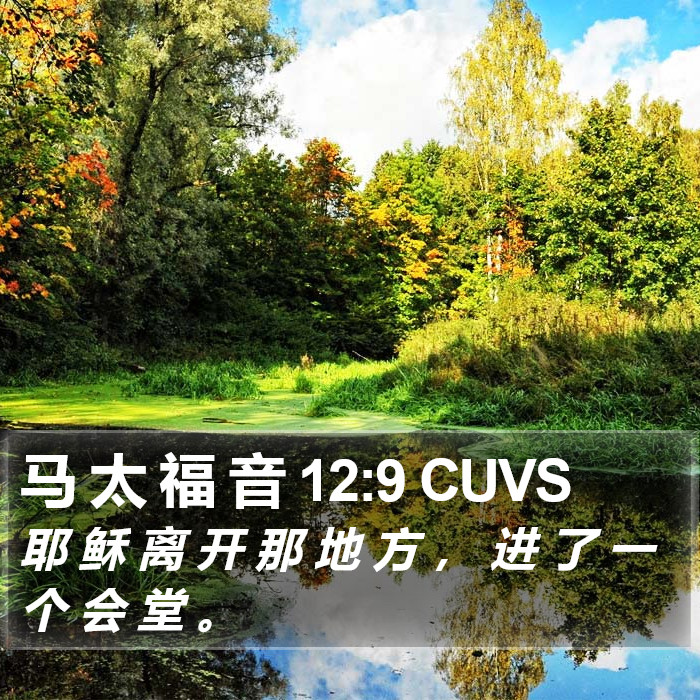 马 太 福 音 12:9 CUVS Bible Study