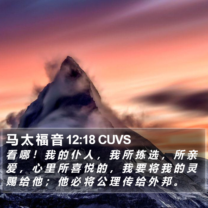 马 太 福 音 12:18 CUVS Bible Study