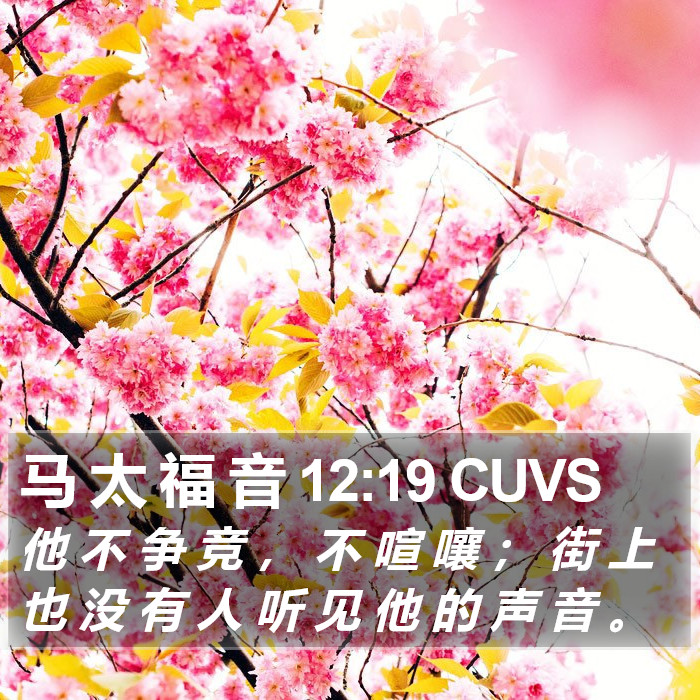 马 太 福 音 12:19 CUVS Bible Study