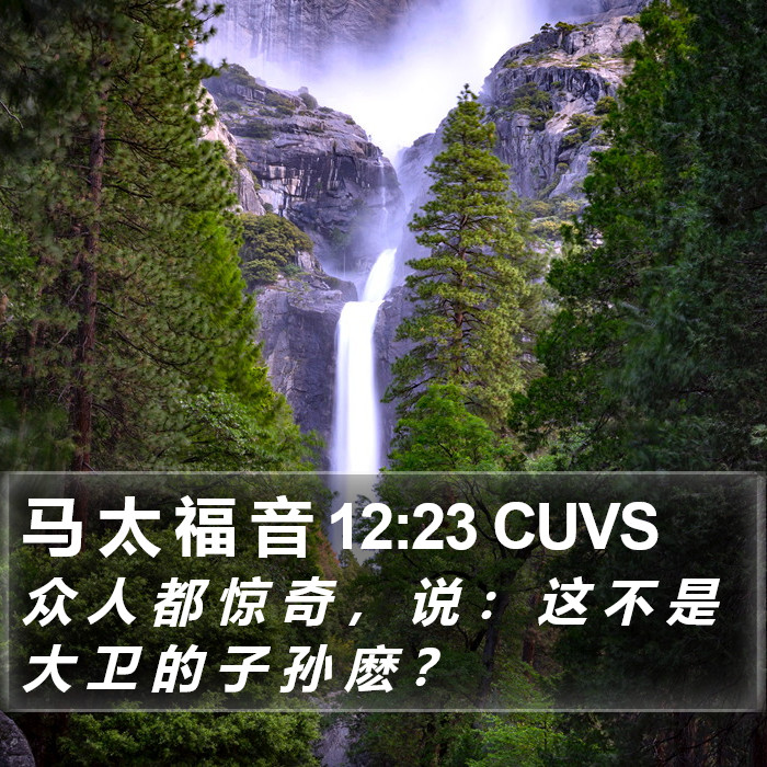 马 太 福 音 12:23 CUVS Bible Study