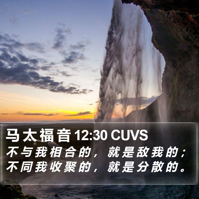 马 太 福 音 12:30 CUVS Bible Study
