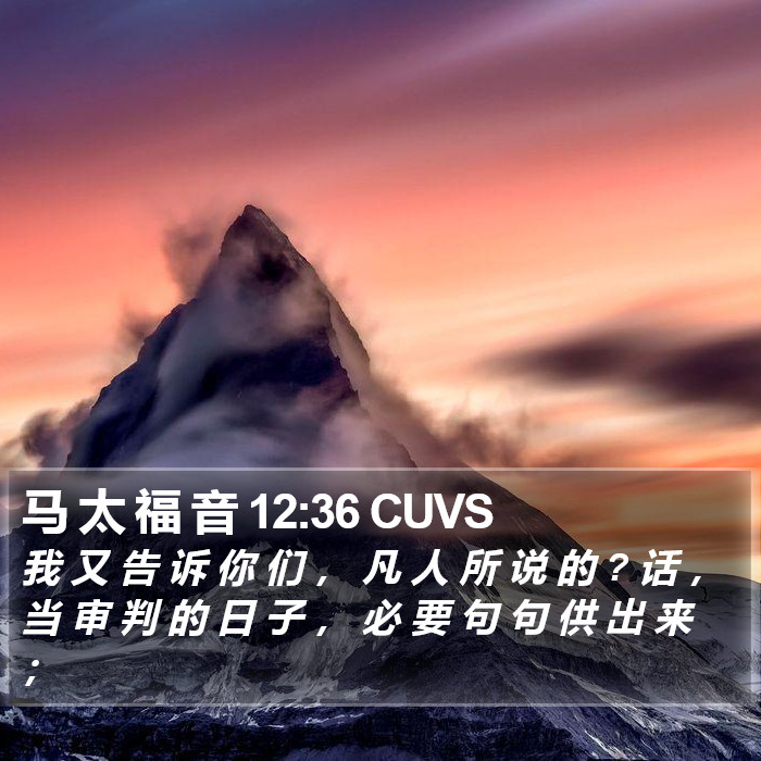 马 太 福 音 12:36 CUVS Bible Study