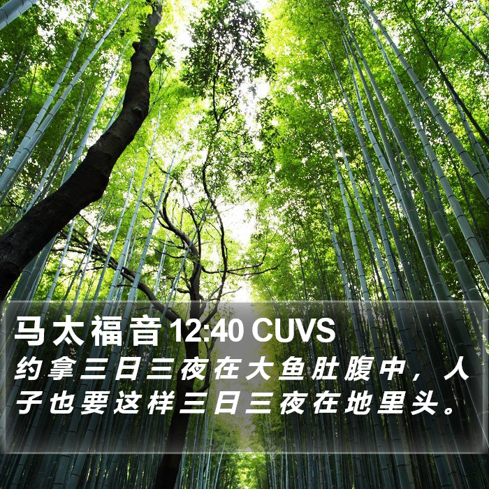 马 太 福 音 12:40 CUVS Bible Study