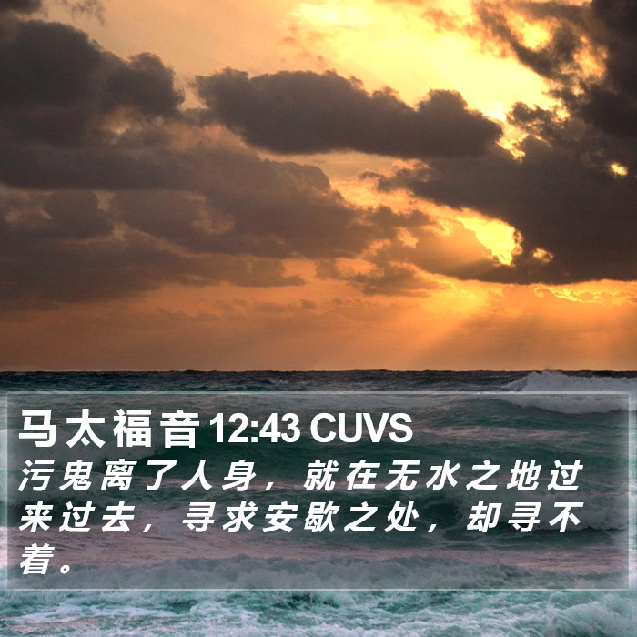 马 太 福 音 12:43 CUVS Bible Study