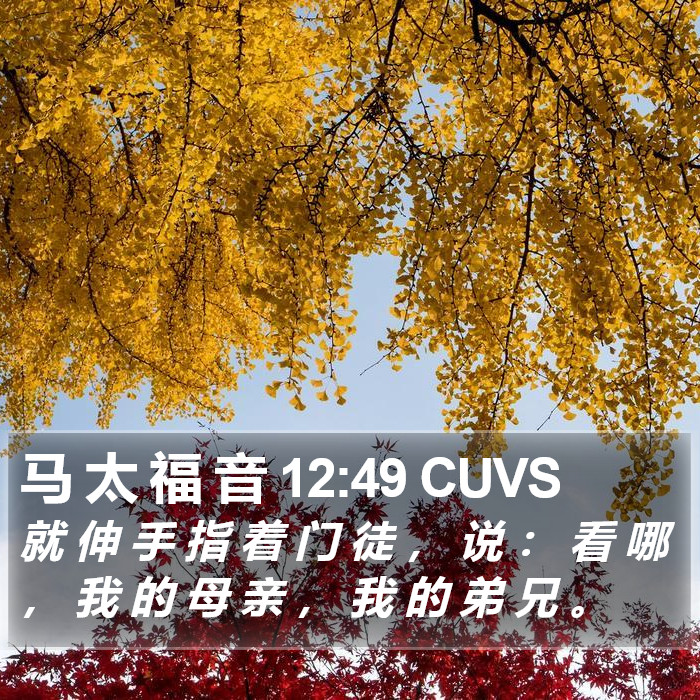 马 太 福 音 12:49 CUVS Bible Study
