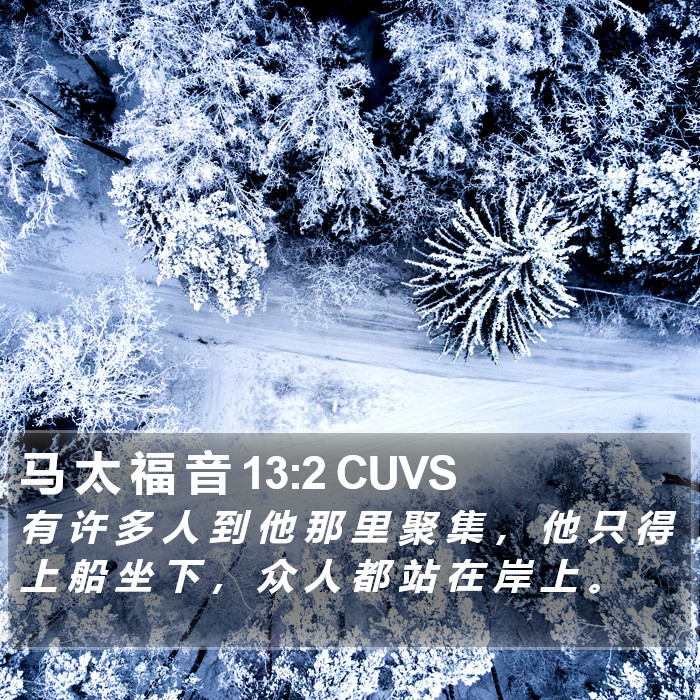 马 太 福 音 13:2 CUVS Bible Study