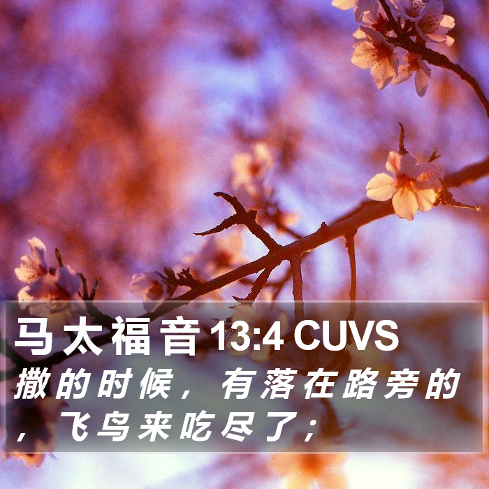 马 太 福 音 13:4 CUVS Bible Study