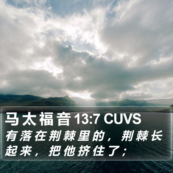 马 太 福 音 13:7 CUVS Bible Study