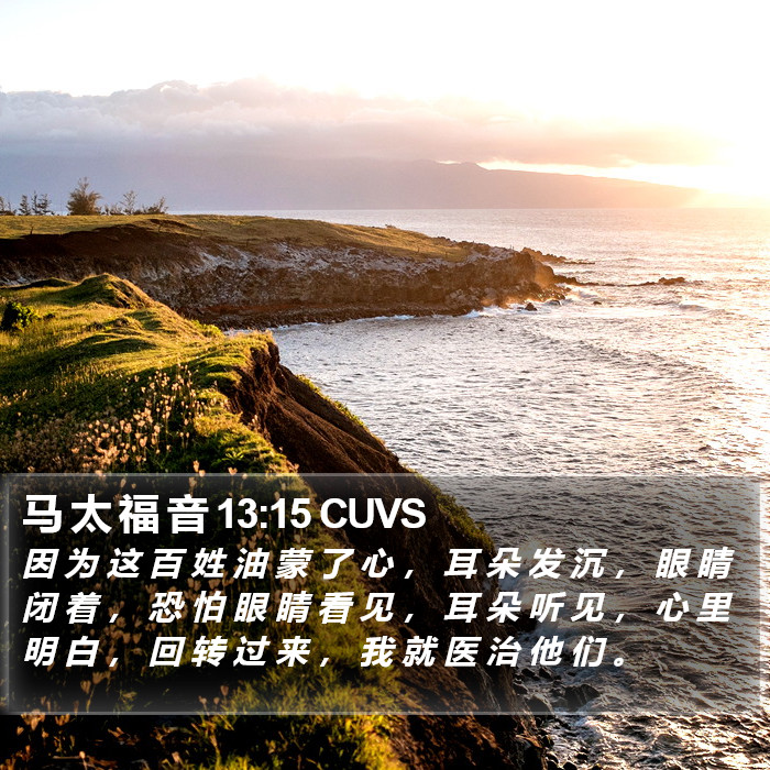 马 太 福 音 13:15 CUVS Bible Study
