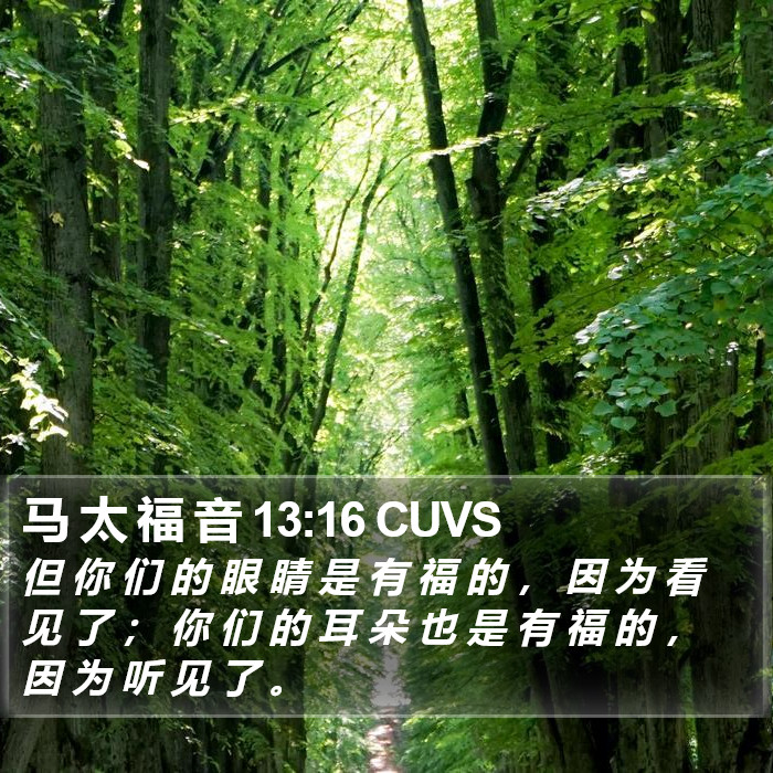 马 太 福 音 13:16 CUVS Bible Study