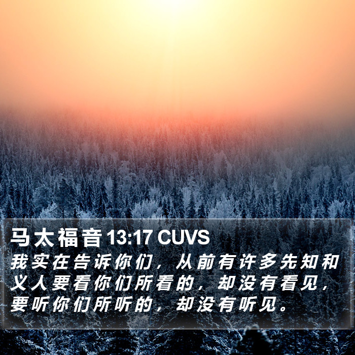 马 太 福 音 13:17 CUVS Bible Study