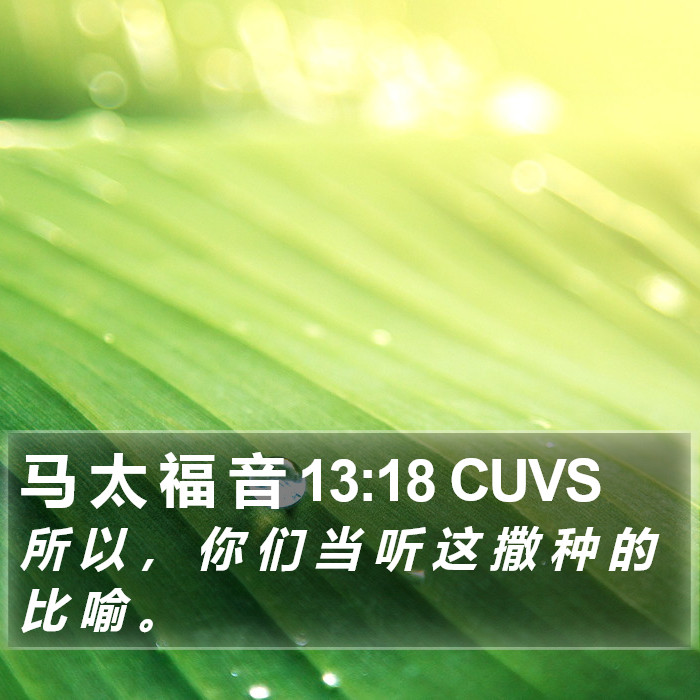 马 太 福 音 13:18 CUVS Bible Study
