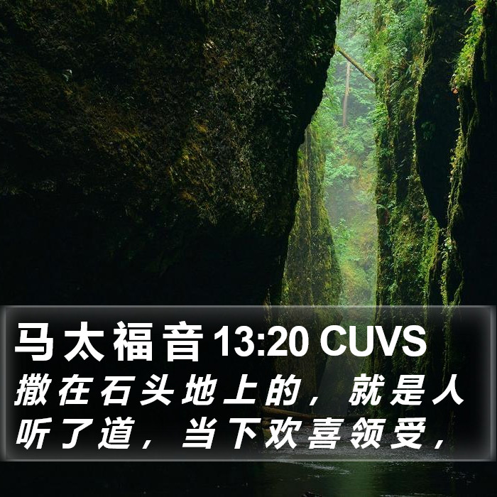马 太 福 音 13:20 CUVS Bible Study