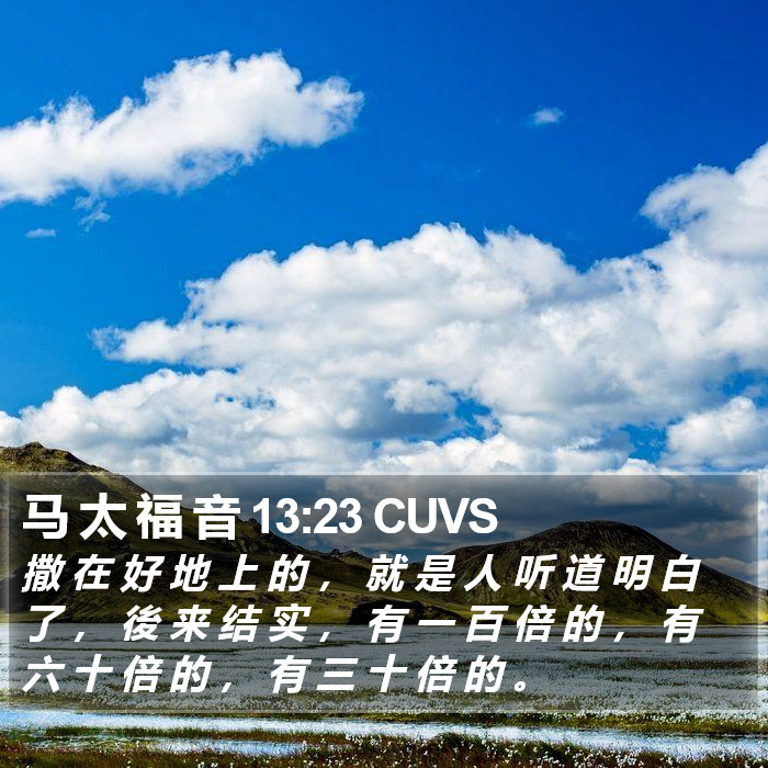 马 太 福 音 13:23 CUVS Bible Study