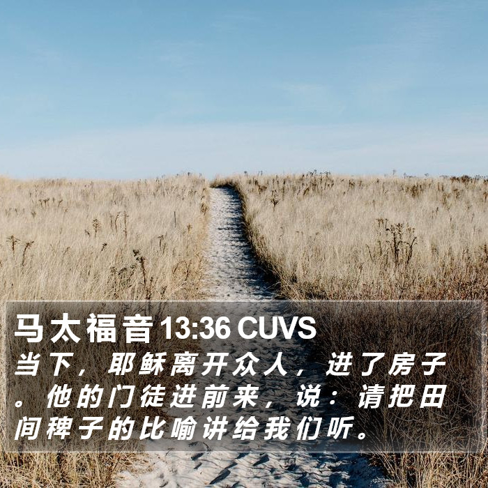 马 太 福 音 13:36 CUVS Bible Study