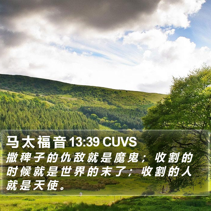 马 太 福 音 13:39 CUVS Bible Study