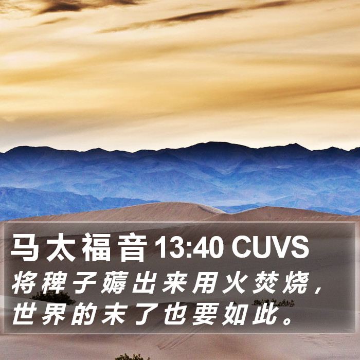 马 太 福 音 13:40 CUVS Bible Study