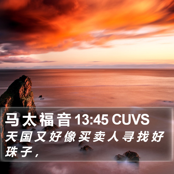 马 太 福 音 13:45 CUVS Bible Study
