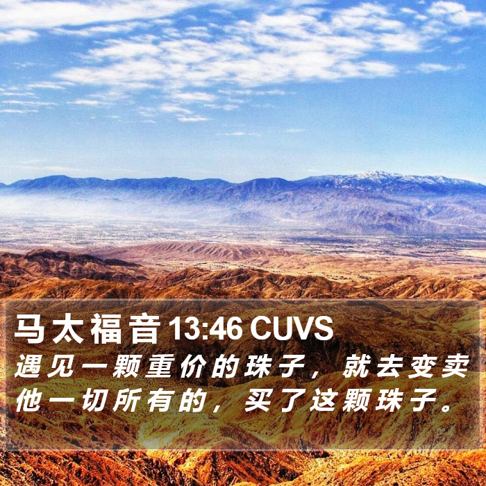 马 太 福 音 13:46 CUVS Bible Study