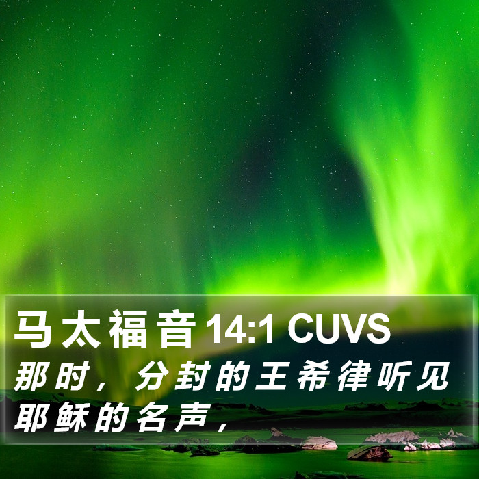 马 太 福 音 14:1 CUVS Bible Study