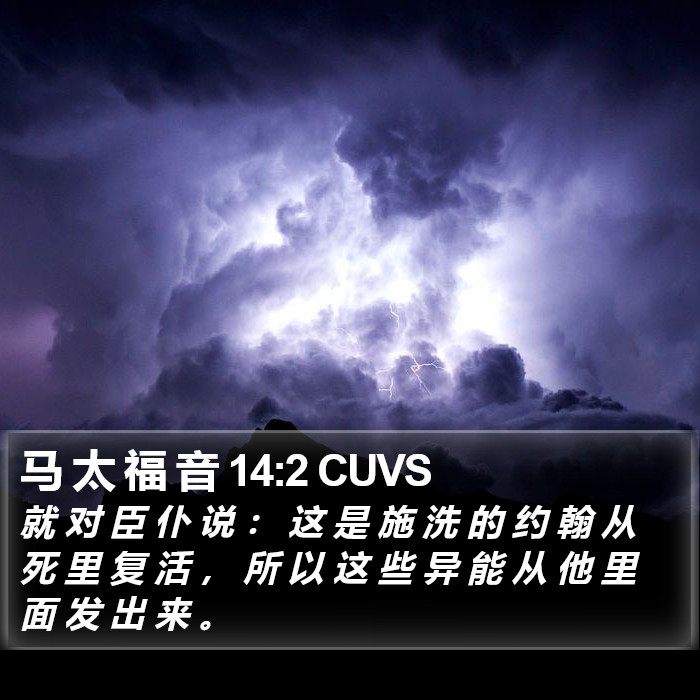 马 太 福 音 14:2 CUVS Bible Study