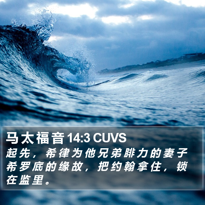 马 太 福 音 14:3 CUVS Bible Study