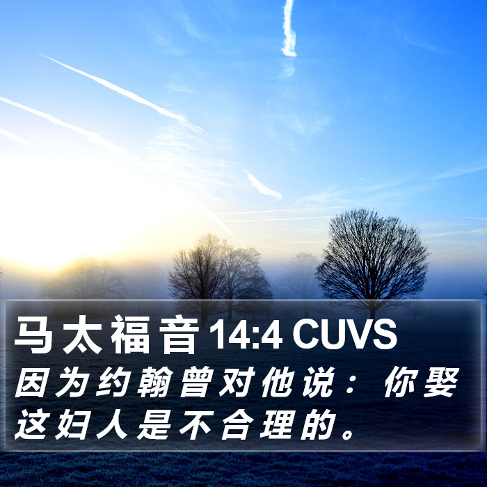 马 太 福 音 14:4 CUVS Bible Study