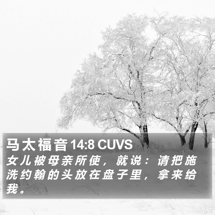 马 太 福 音 14:8 CUVS Bible Study