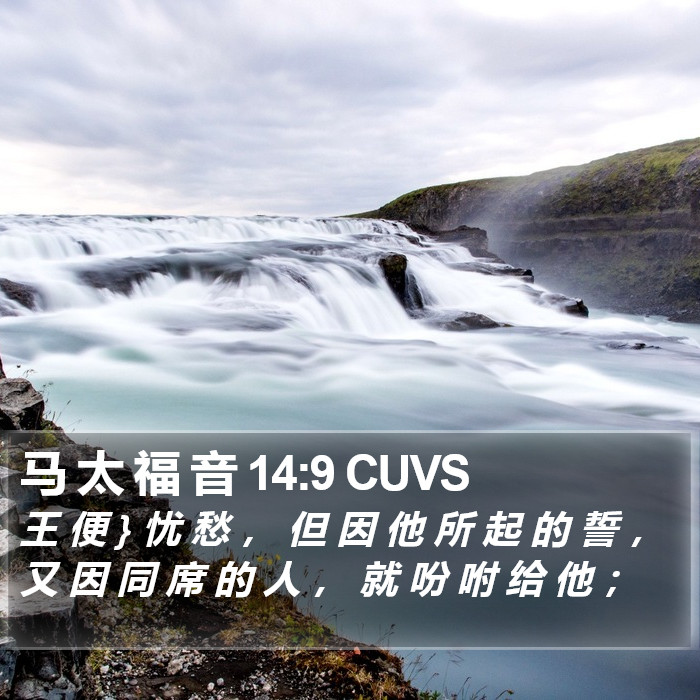 马 太 福 音 14:9 CUVS Bible Study