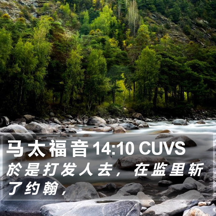 马 太 福 音 14:10 CUVS Bible Study