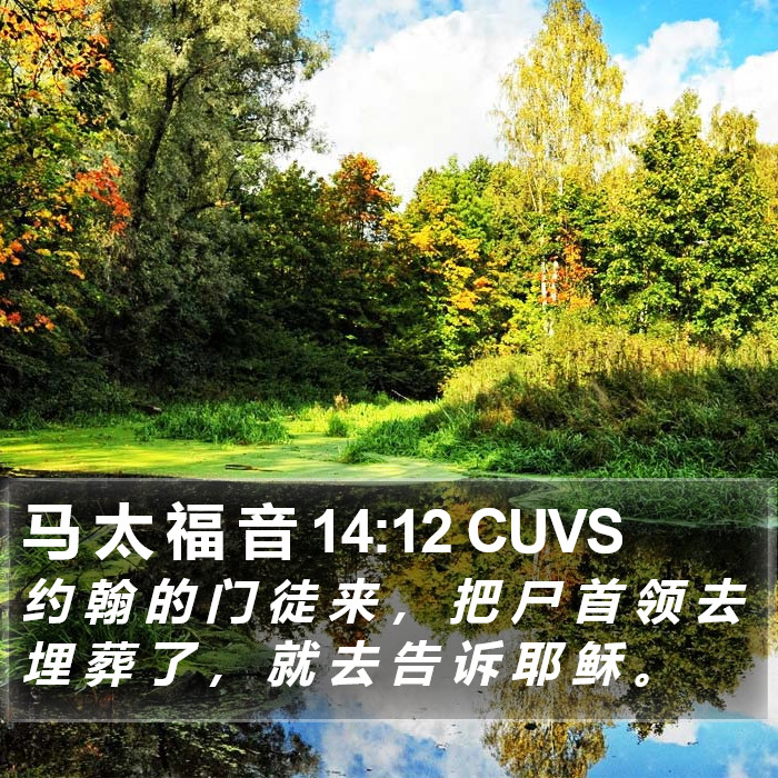 马 太 福 音 14:12 CUVS Bible Study