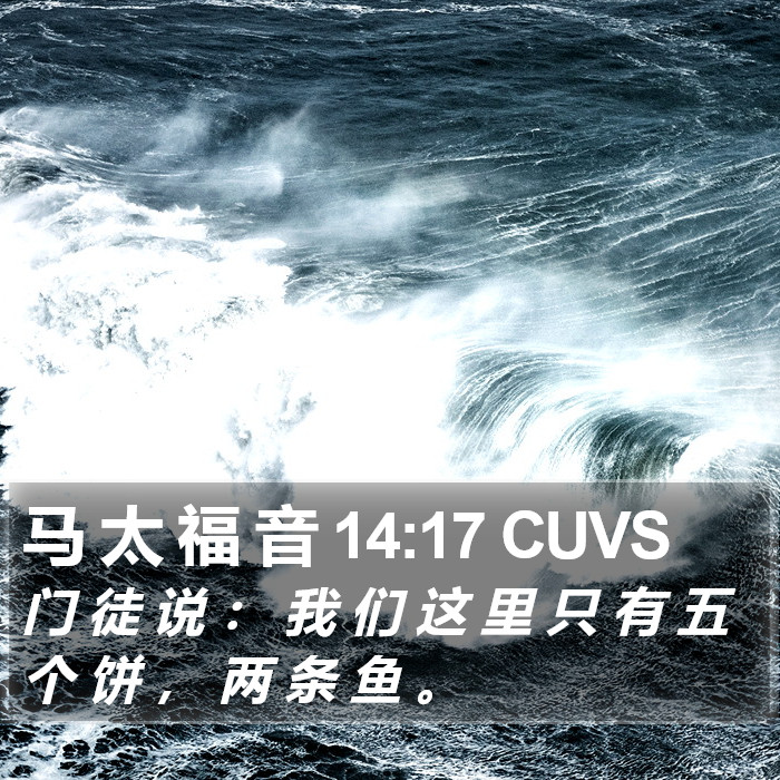 马 太 福 音 14:17 CUVS Bible Study