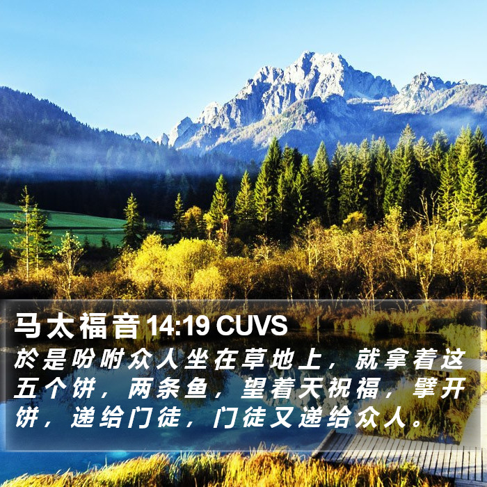 马 太 福 音 14:19 CUVS Bible Study