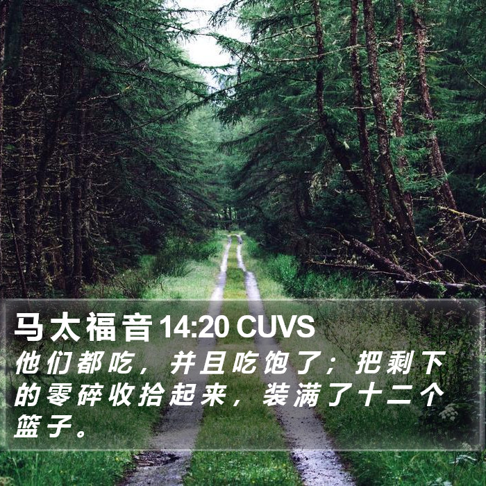 马 太 福 音 14:20 CUVS Bible Study