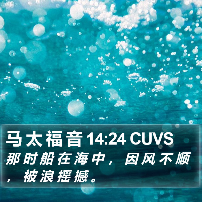 马 太 福 音 14:24 CUVS Bible Study