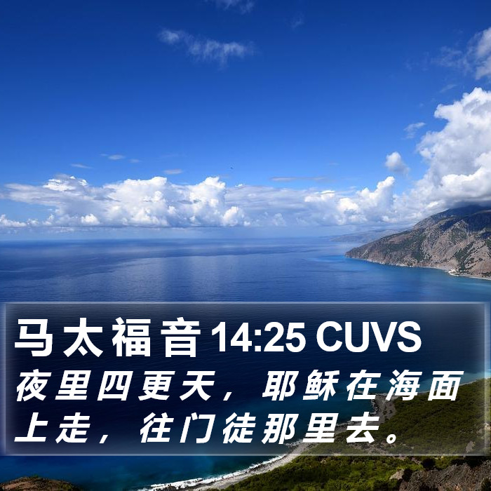 马 太 福 音 14:25 CUVS Bible Study