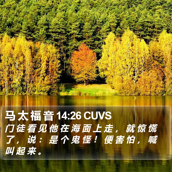 马 太 福 音 14:26 CUVS Bible Study